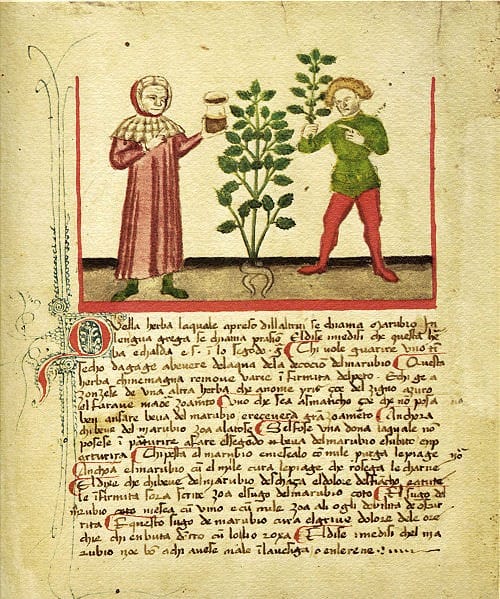 medieval herbal - Medievalists.net