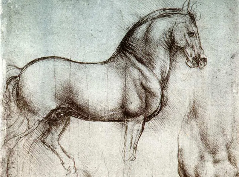 Leonardo Da Vinci'S Representation Of Animals In His Works -  Medievalists.Net