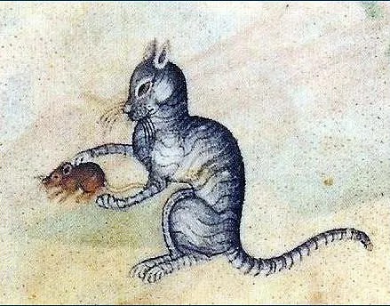Killing Cats In The Medieval Period: An Unusual Episode In The History Of  Cambridge, England - Medievalists.Net