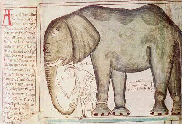 Matthew Paris and Henry III's elephant 