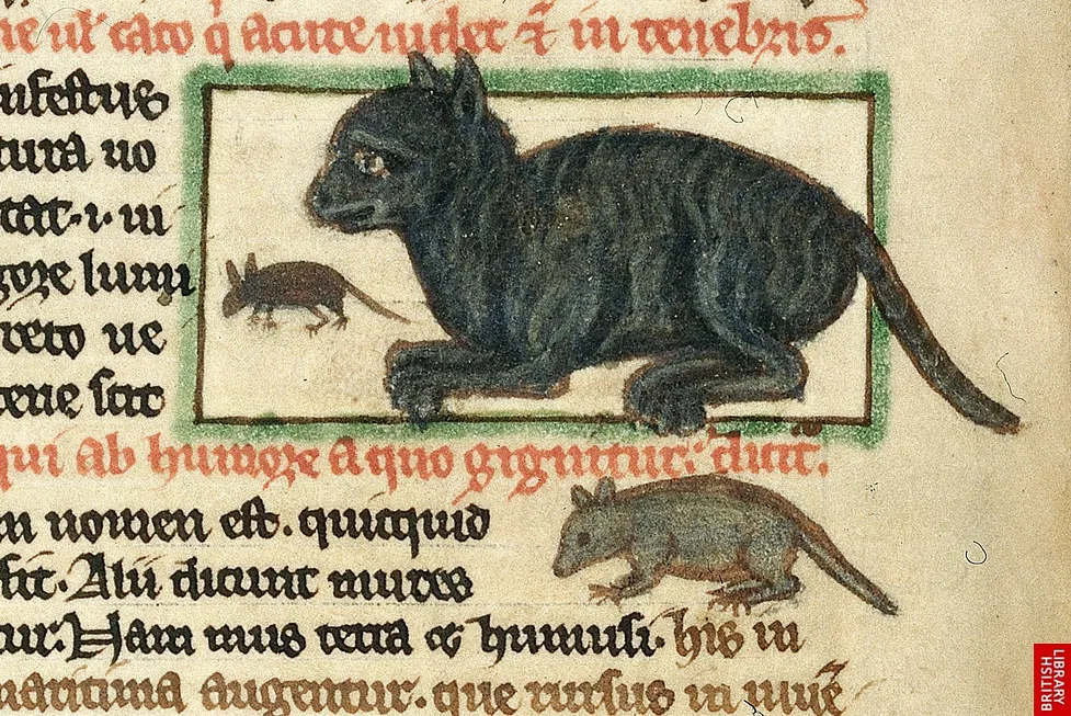 Why Cats were hated in Medieval Europe