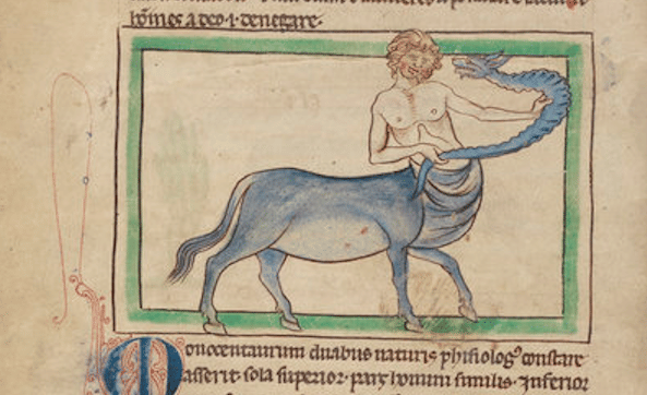 Un bestiario de la prehistoria　ペトログリフ Un bestiario de la prehistoria ペトログリフ Un bestiario de