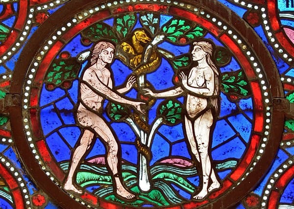 Is woman just a mutilated male? Adam and Eve in the theology of Thomas  Aquinas - Medievalists.net