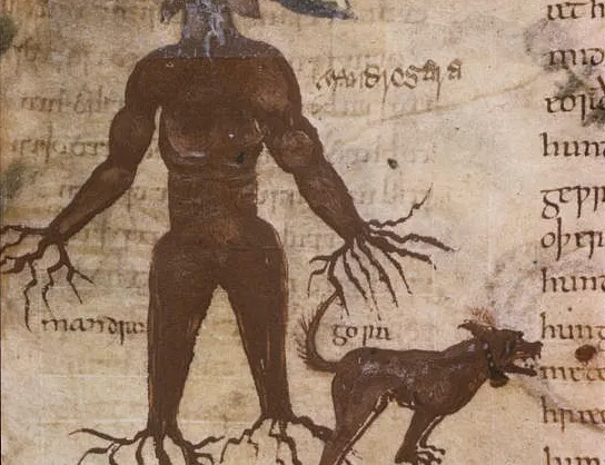 The Mandrake Plant and Six Anglo-Saxon Cures - Medievalists.net