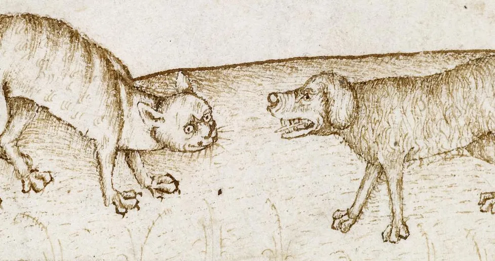 Cats and Dogs: The Development of the Household Pet through Symbolic Interpretations and Social Practices in the Middle Ages and Renaissance - Medievalists.net Cats And Dogs: The Development Of The Household Pet Through Symbolic Interpretations And Social Practices In The Middle Ages And Renaissance - Medievalists.Net
