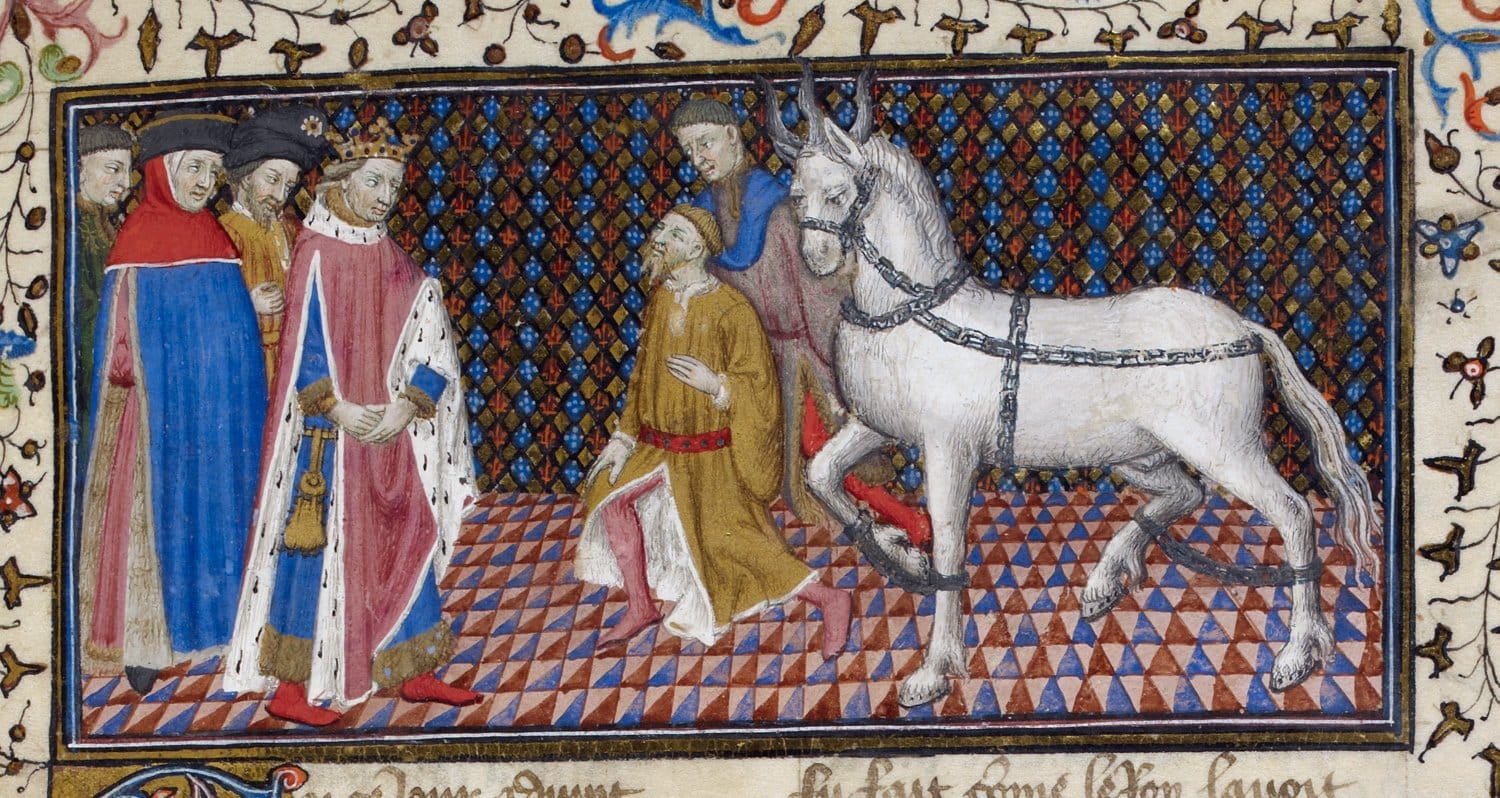 Horses That Knights Rode
