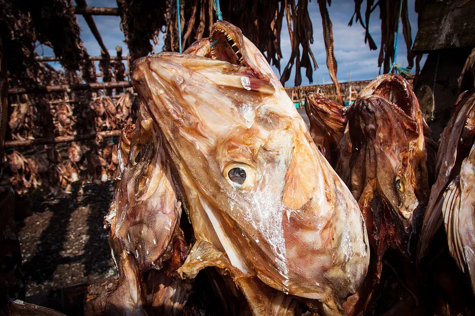Stockfish Production, Cultural and Culinary Values
