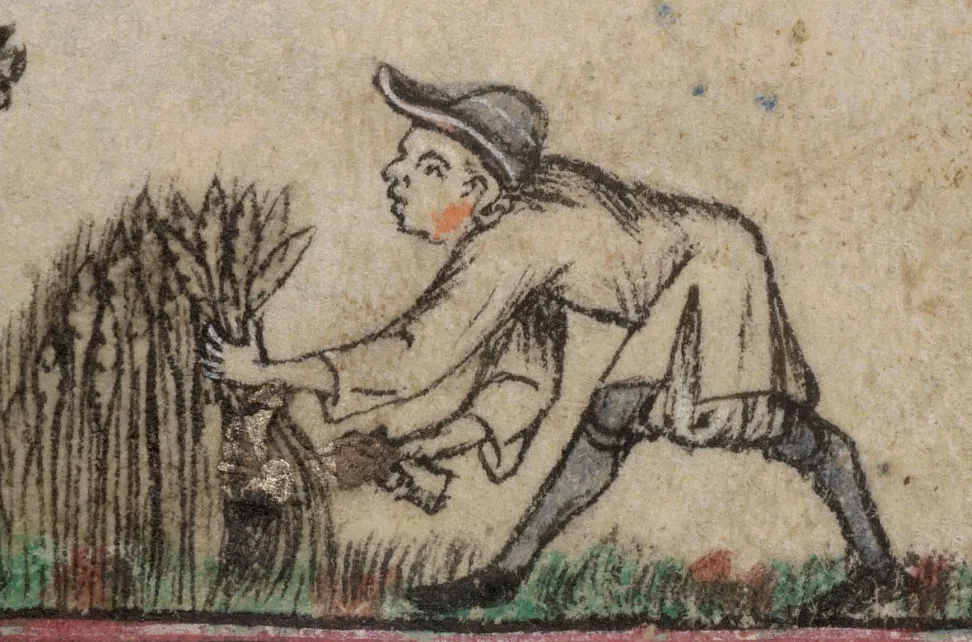 peasants in the middle ages