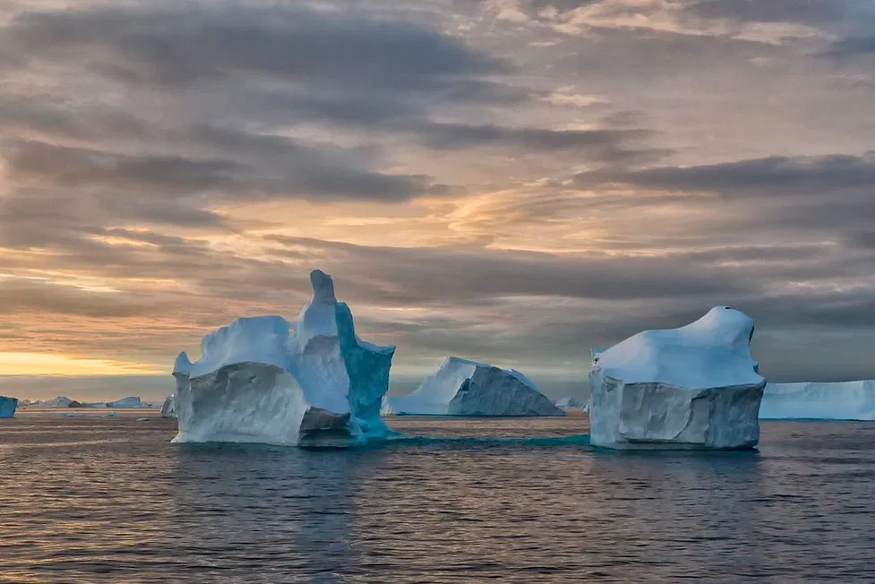 Pou Iceberg