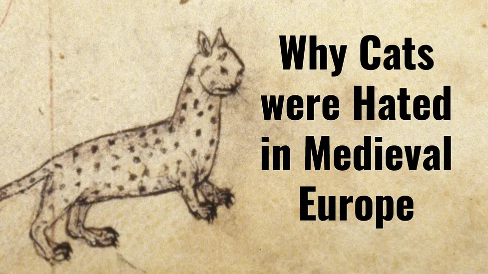Why Cats were Hated in Medieval Europe - Medievalists.net Why Cats Were Hated In Medieval Europe - Medievalists.Net