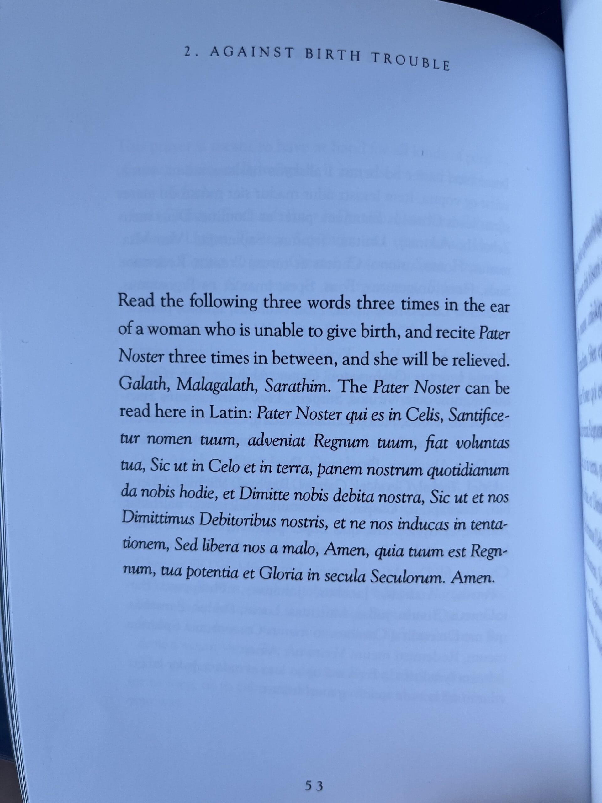 New Medieval Books: The Galdrabók - Medievalists.net